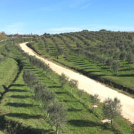 territorio territorio