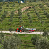 tenuta tenuta