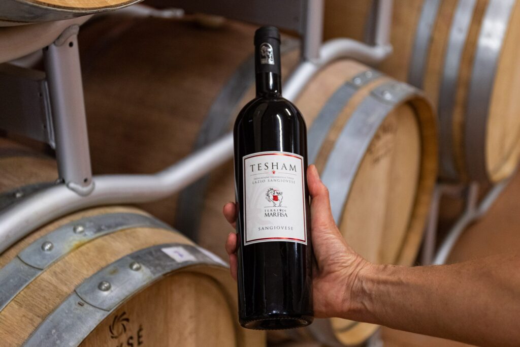 Bottiglia di Tesham Terre di Marfisa tra le barrique della cantina